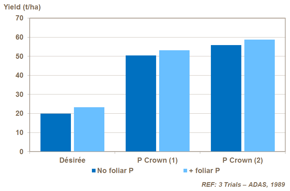 foliar phosphorus and potato yield