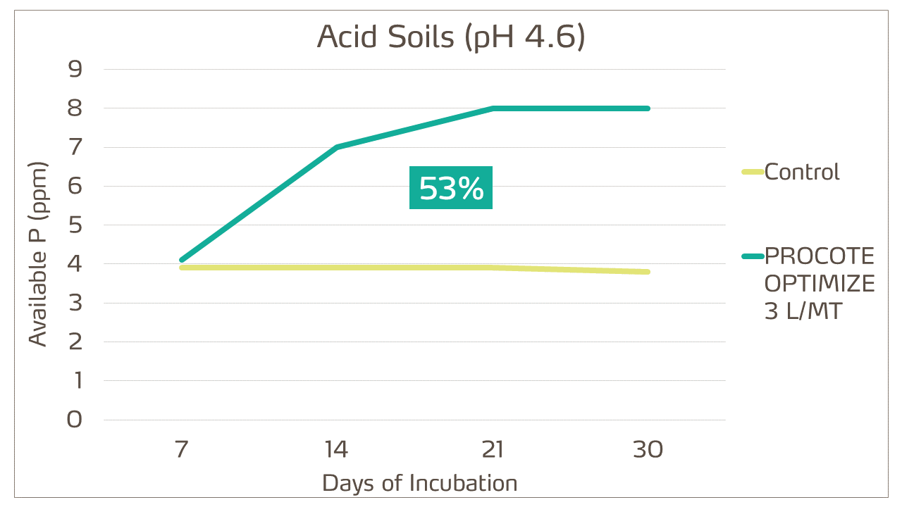 phosphorus fixation on acidic soil