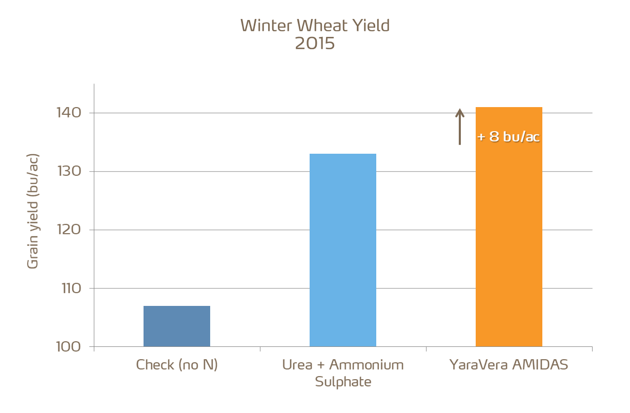 amidas effect on wheat yield