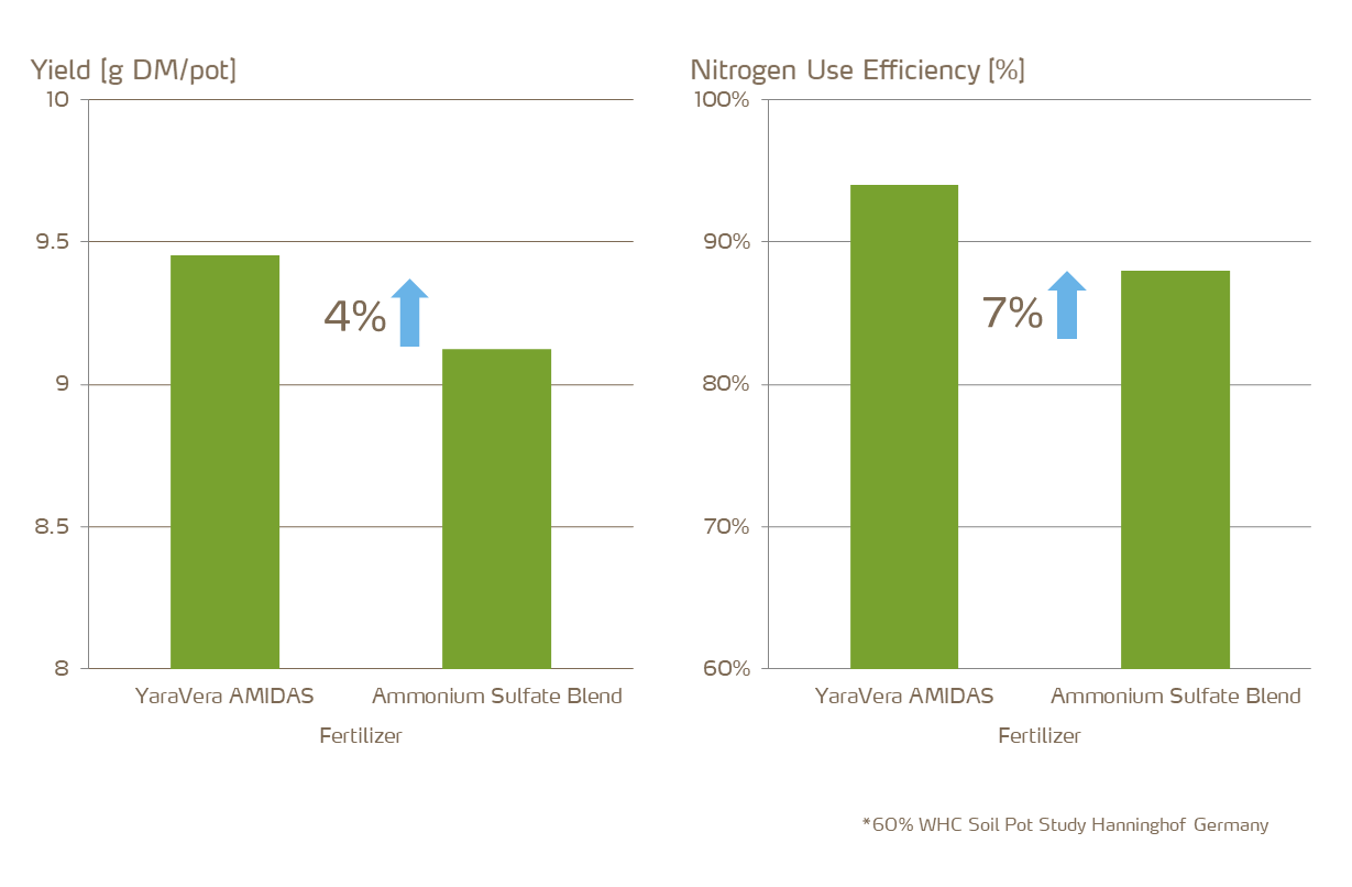 amidas improves yield and nitrogen use efficiency